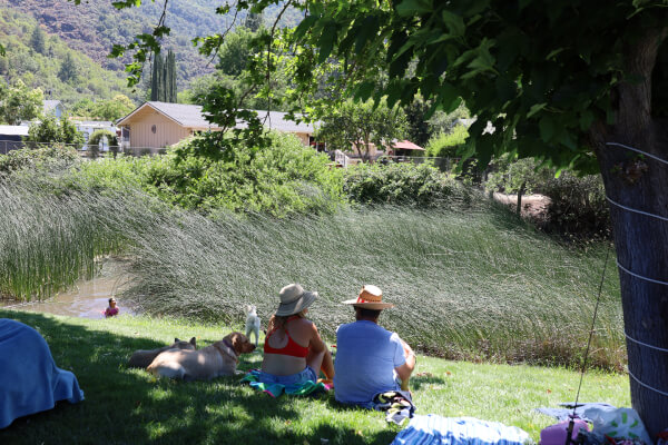 a couple of people sitting on a blanket in a grassy area with a dog and a house in