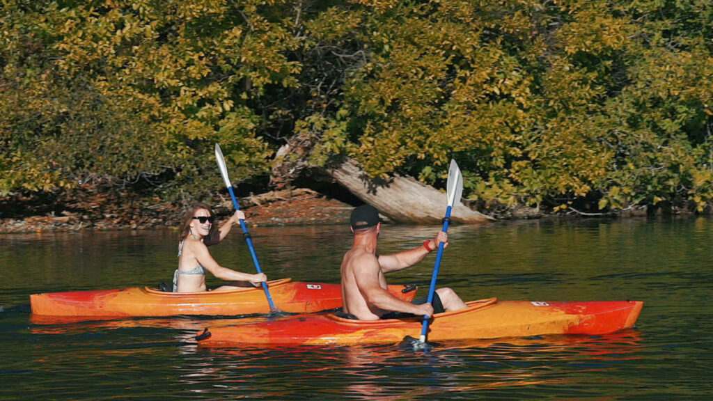 kayaks