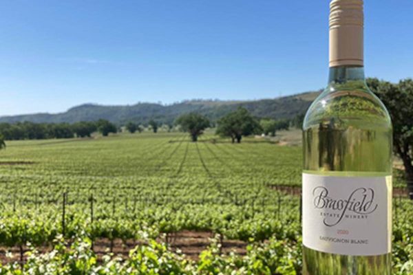 Brassfield Estate Winery - Products - 2022 Sauvignon Blanc